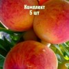 Комплект 5шт / Персик Дикрас: фото и описание